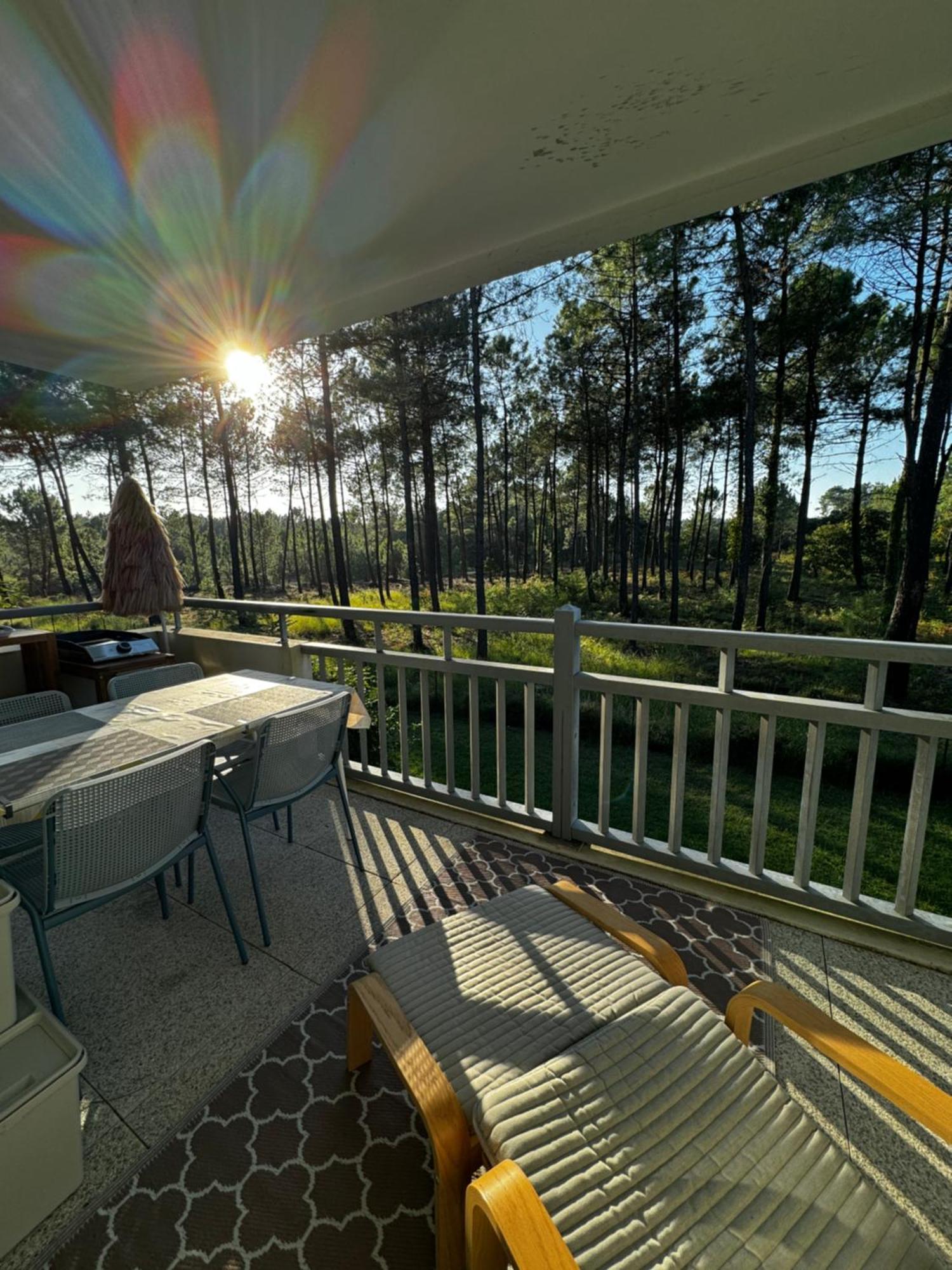 La Foret Des Pins - Free Check-In - Wifi - Parking Prive - Netflix - Draps & Serviettes Inclus Labenne Exterior foto
